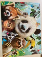 Ceaco Selfies - imagen del puzzle