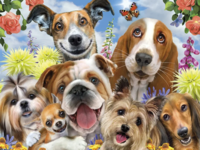 Ceaco Selfies - Puppy Love - puzzle image