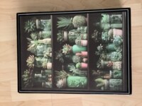 Temu Succulents - puzzle image