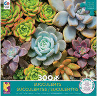 Ceaco Succulents - puzzle image