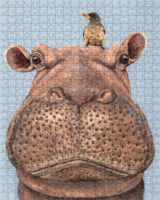 Jiggy The Hippo & Oxpecker - puzzle image