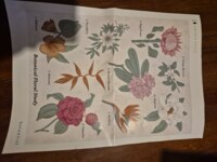 Kaiser Botanical - puzzle image