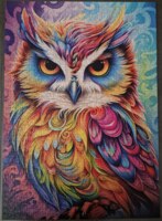 Schmidt The Parrot-Owl - obrázek puzzlí