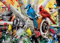 Masterpieces Backyard Birds - imagen del puzzle