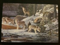 Sure-Lox CRY WOLF - puzzle image