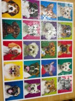 Colorluxe 20 dogs - imagen del puzzle
