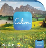 Spin Master Calm - You Belong Here - puzzle image