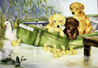 Falcon River Discovery Meeting new friends - puzzle image
