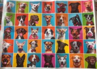 Watch-Us Inc. Dogs - obrázek puzzlí