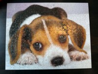 Re-Marks Puppy puzzle - imagen del puzzle