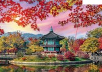 Castorland Seoul - Puzzlebild