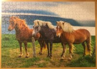 Trefl Konie islandzkie, Islandia - Puzzlebild