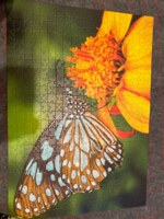 Trefl 37243 - image du puzzle