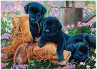 Cobble Hill Trouble in the Garden - image du puzzle