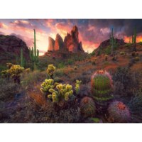 Ravensburger Cactus and Thorns - imagen del puzzle
