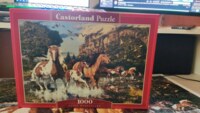 Castorland Horse wonderland - imagen del puzzle
