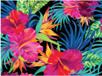 Goliath Hibiscus - puzzle image