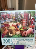 Bits and Pieces Hide and Seek - puzzle image