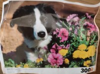Sure-Lox 10-in-1 - Border Collie in Flowers - image du puzzle