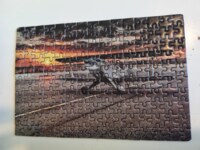 ToyIQ Glider - puzzle image