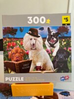 Sure-Lox Class Clown 300 - puzzle image