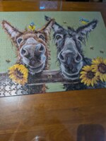 Mindbogglers Donkey duo - puzzle image
