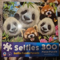 Arrow Puzzles Selfie Panda Parade - imagen del puzzle