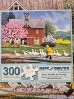 Bits and Pieces Puddle Jumpers - imagen del puzzle