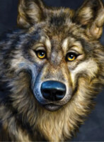 Spilsbury Puzzle Co Winsome Wolf - imagen del puzzle