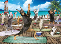 Eurographics Yoga Spa - Spa Yoga - imagen del puzzle