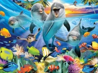 Prime 3D Playful Dolphins - image du puzzle