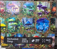 Gulf Conformity Mark Enchanted Fungi - image du puzzle