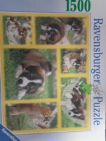 Ravensburger Dogs Galore - パズル画像