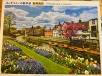 AppleOne A Beautiful Walk in Canterbury - puzzle image