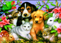 Falcon Loveable Pets Animal Gathering - obrázek puzzlí