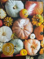 Ceaco Pumpkins & Gourds - Puzzlebild