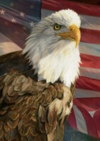 Buffalo Games Magnificent Freedom - puzzle image