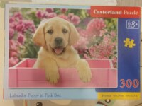 Castorland Labrador Puppy in Pink Box - パズル画像