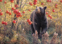 Cobble Hill Den Dreams - image du puzzle