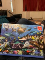 Jumbo Sea life - imagen del puzzle