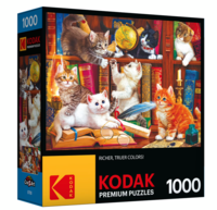 Cra-Z-Art Library Mischief - puzzle image