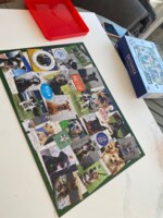 M&S Rescue Dogs - imagen del puzzle
