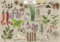 Trefl Spices - imagen del puzzle