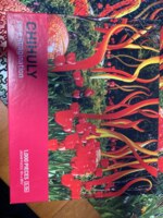 Puzzles Plus Chihuly Cattails and Floats - puzzle image