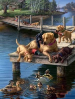 Buffalo Games Dog days: summer school - imagen del puzzle
