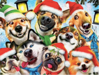 Ceaco Selfies Series 3 - Christmas Dogs - puzzle image