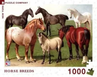 Horse Breeds