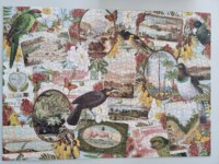 Live Wires New Zealand Vintage Postcards with native flora and fauna - パズル画像