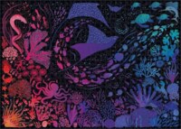 Elena Essex Night reef - image du puzzle