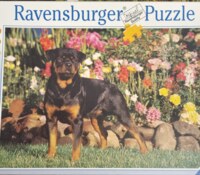Ravensburger Rottweiller - obrázek puzzlí